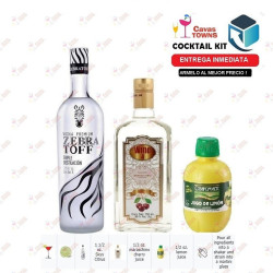 Cocktail Kit Citrus Aviator Receta Recipe - Cavas Towns