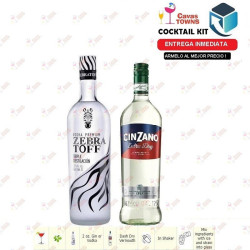 Cocktail Kit Martini -2 Receta Recipe - Cavas Towns