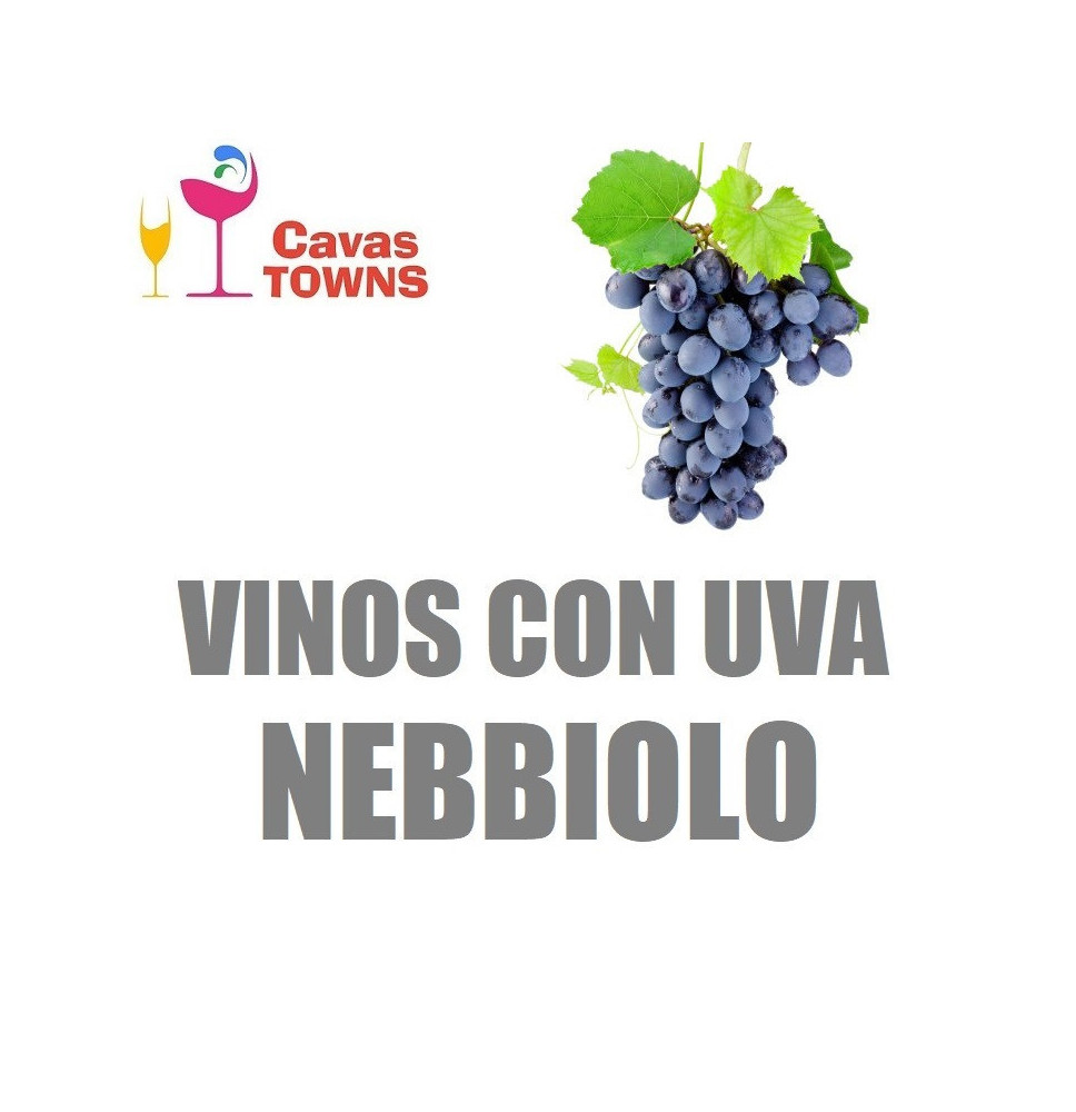 Vinos Con Uva Nebbiolo - Cavas Towns