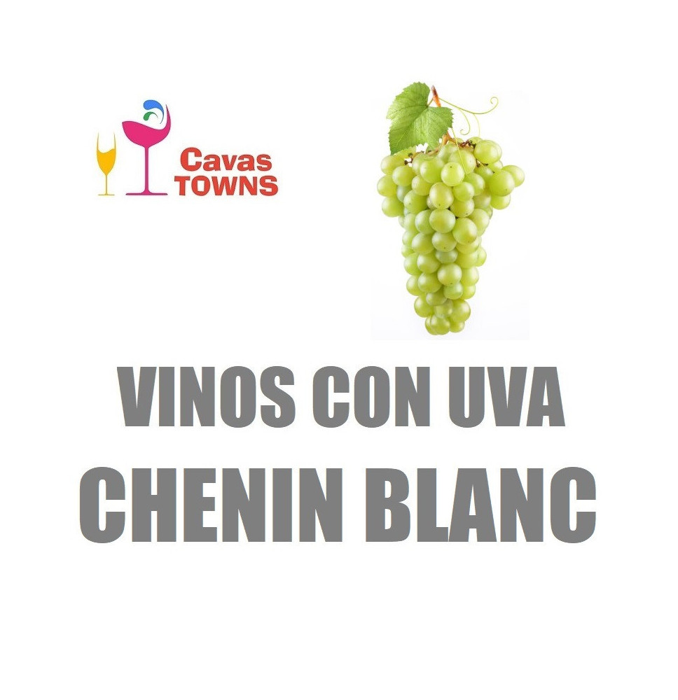 Vinos Con Uva Chenin Blanc - Cavas Towns