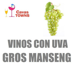 Vinos Con Uva Gros Manseng - Cavas Towns