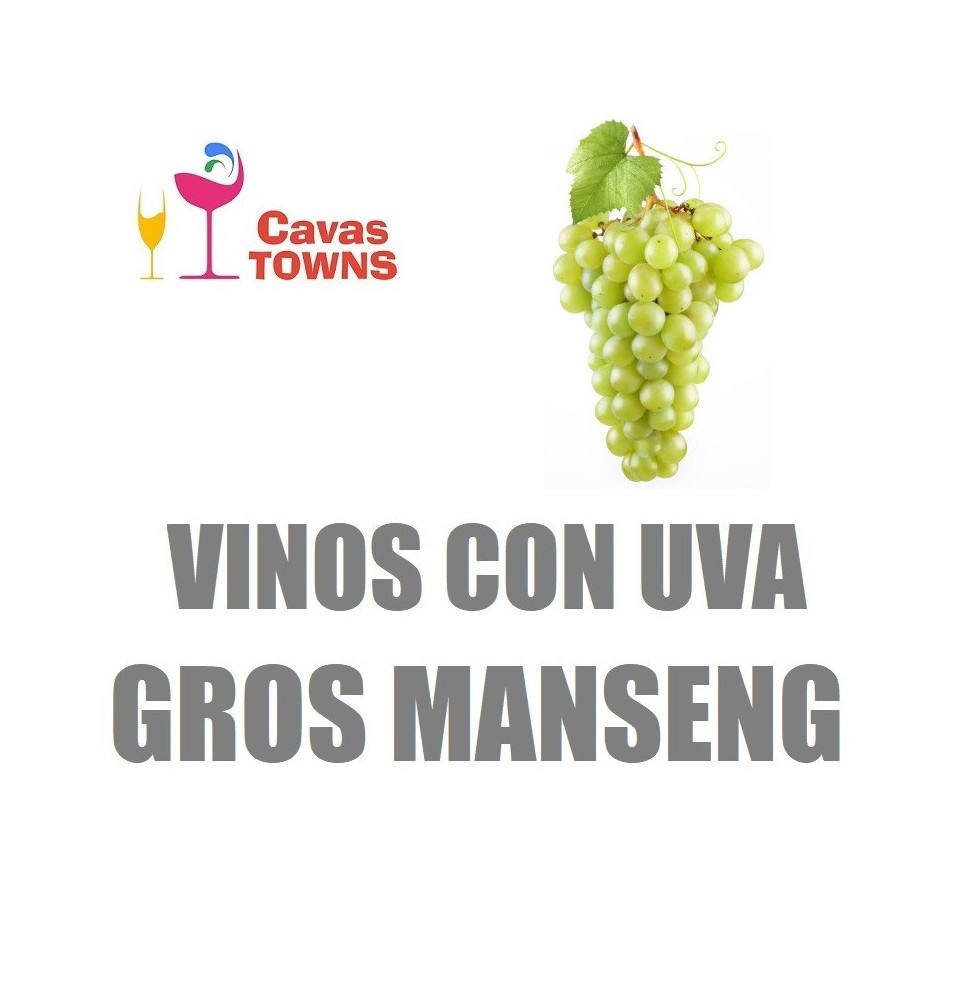 Vinos Con Uva Gros Manseng - Cavas Towns Vinos Con Uva Gros Manseng - Cavas Towns