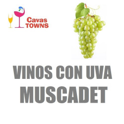 Vinos Con Uva Muscadet - Cavas Towns