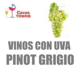 Vinos Con Uva Pinot Grigio - Cavas Towns