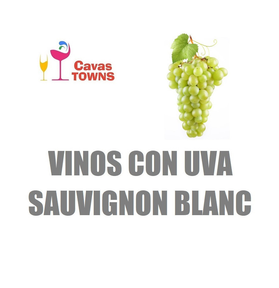 Vinos Con Uva Sauvignon Blanc - Cavas Towns