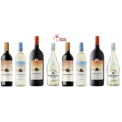 Vino Toro Bravo Verdejo-Sauvignon Blanc 750 ml - Cavas Towns