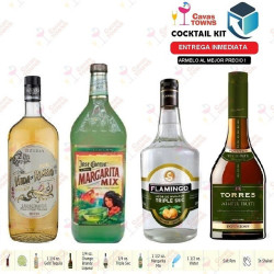 Brandy Torres Winter Fruits 700 ml - Cavas Towns