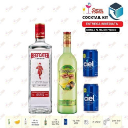 Ginebra Beefeater Cocktail Kit Collins Receta Recipe - Cocteles Towns