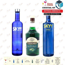 Vodka Skyy Infusions Raspberry - 750 ml - Cavas Towns