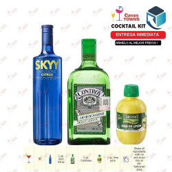 Vodka Skyy Infusions Raspberry - 750 ml - Cavas Towns