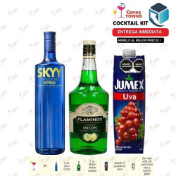 Vodka Skyy Infusions Raspberry - 750 ml - Cavas Towns