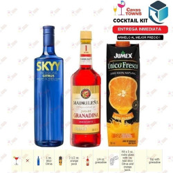 Vodka Skyy Infusions Raspberry - 750 ml - Cavas Towns