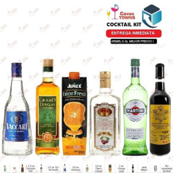 Vermouth Martini Extra Dry 750 ml - Cavas Towns